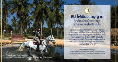 สหภาพยุโรป ไฟเขียว!!! ไทยส่งออกม้าที่จดทะเบียนไปยังสหภาพยุโรป (EU) ได้อีกครั้ง