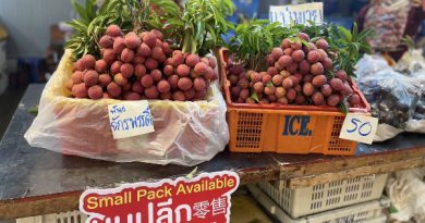 ตลาดสี่มุมเมือง จับมือพันธมิตรภาครัฐ เปิดเทศกาล ‘สี่มุมเมือง ไทยฟรุตเฟส 2025’”เทศกาลผลไม้ไทยสด ส่งตรงจากสวน สู่ตลาดค้าส่งอันดับหนึ่ง