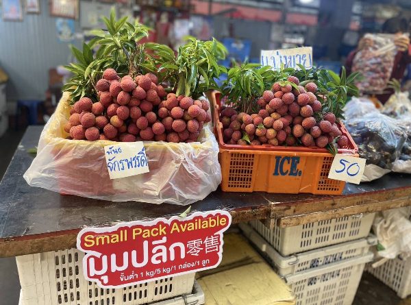ตลาดสี่มุมเมือง จับมือพันธมิตรภาครัฐ เปิดเทศกาล ‘สี่มุมเมือง ไทยฟรุตเฟส 2025’”เทศกาลผลไม้ไทยสด ส่งตรงจากสวน สู่ตลาดค้าส่งอันดับหนึ่ง