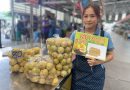 ตลาดสี่มุมเมือง จับมือพันธมิตรภาครัฐ เปิดเทศกาล ‘สี่มุมเมือง ไทยฟรุตเฟส 2025’” เทศกาลผลไม้ไทยสด ส่งตรงจากสวน สู่ตลาดค้าส่งอันดับหนึ่ง เชื่อมเกษตรกร–ผู้ค้า–ผู้บริโภค สร้างเครือข่ายการค้าผลไม้ไทยที่เข้มแข็งและยั่งยืน