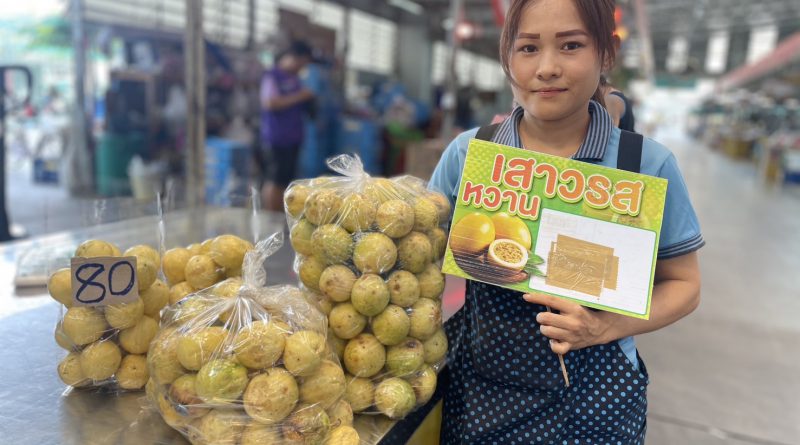 ตลาดสี่มุมเมือง จับมือพันธมิตรภาครัฐ เปิดเทศกาล ‘สี่มุมเมือง ไทยฟรุตเฟส 2025’” เทศกาลผลไม้ไทยสด ส่งตรงจากสวน สู่ตลาดค้าส่งอันดับหนึ่ง เชื่อมเกษตรกร–ผู้ค้า–ผู้บริโภค สร้างเครือข่ายการค้าผลไม้ไทยที่เข้มแข็งและยั่งยืน