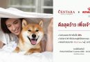 เซ็นทาราร่วมกับโรยัล คานิน จัดโปร “ดีลสุดว้าว เพื่อเจ้าขนฟู” มอบประสบการณ์ท่องเที่ยวที่เป็นมิตรกับสัตว์เลี้ยง