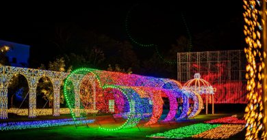 มหกรรมไฟล้านดวง และโซนดอกไม้ประดับ สนามกีฬา 2 อบจแพร่ งานมหกรรมของดีจังหวัดแพร่และกาชาดแพร่ประจำปี 2568 วันที่ 1-10 ธันวาคมนี้เน้อ