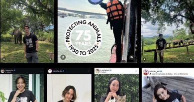 ดารา-คนดัง รวมพลังร่วมส่งเสียงแทนสัตว์ไร้เสียง ฉลอง 75 ปี World Animal Protection ในแคมเปญ “Don’t Forget Them”