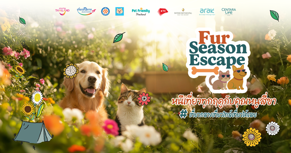 ททท. เปิดตัวโครงการ “Fur Season Escape หนีเที่ยวทุกฤดูกับคุณหนูสี่ขา” ชวนสัมผัสประสบการณ์ท่องเที่ยวแบบ Pet-friendly ระดับพรีเมียม พร้อมจัดงาน ME & PAWS Fair ในบรรยากาศแสนเก๋และอบอุ่น ททท. เปิดตัวโครงการ “Fur Season Escape หนีเที่ยวทุกฤดูกับคุณหนูสี่ขา” ชวนสัมผัสประสบการณ์ท่องเที่ยวแบบ Pet-friendly ระดับพรีเมียม พร้อมจัดงาน ME & PAWS Fair ในบรรยากาศแสนเก๋และอบอุ่น