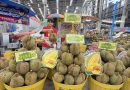 ตลาดสี่มุมเมือง ตอกย้ำศูนย์กลางค้าส่งทุเรียน 24 ชม. จัดมหกรรม“ทุเรียน EXPO สี่มุมเมือง 2026” ปั้น Destination คนรักทุเรียน ตอบโจทย์ผู้ซื้อ B2B–B2C ครบวงจร