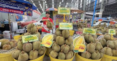 ตลาดสี่มุมเมือง ตอกย้ำศูนย์กลางค้าส่งทุเรียน 24 ชม. จัดมหกรรม“ทุเรียน EXPO สี่มุมเมือง 2026” ปั้น Destination คนรักทุเรียน ตอบโจทย์ผู้ซื้อ B2B–B2C ครบวงจร