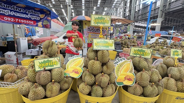 ตลาดสี่มุมเมือง ตอกย้ำศูนย์กลางค้าส่งทุเรียน 24 ชม. จัดมหกรรม“ทุเรียน EXPO สี่มุมเมือง 2026” ปั้น Destination คนรักทุเรียน ตอบโจทย์ผู้ซื้อ B2B–B2C ครบวงจร
