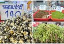 ตลาดผักพื้นบ้าน-ผักคัดบรรจุ สี่มุมเมือง แหล่งรวมวัตถุดิบอาหารท้องถิ่นตามฤดูกาล  ของป่าหายาก ผักพื้นบ้าน เห็ดป่าหน้าฝน ครบที่สุดในที่เดียว สดใหม่จากทุกภูมิภาค เปิด 24 ชั่วโมง
