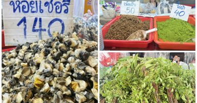 ตลาดผักพื้นบ้าน-ผักคัดบรรจุ สี่มุมเมือง แหล่งรวมวัตถุดิบอาหารท้องถิ่นตามฤดูกาล  ของป่าหายาก ผักพื้นบ้าน เห็ดป่าหน้าฝน ครบที่สุดในที่เดียว สดใหม่จากทุกภูมิภาค เปิด 24 ชั่วโมง