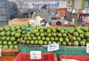 ตลาดสี่มุมเมือง ยกทัพ “อะโวคาโด” หลากสายพันธุ์ หมุนเวียนขายตลอดทั้งปีได้ของสดส่งตรงจากสวนในราคาค้าส่ง เอาใจสายรักสุขภาพ สายเบเกอรี และผู้ที่มองหาอะโวคาโดคุณภาพไปจำหน่ายต่อ ครบจบในที่เดียว