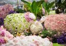 ห้างเซ็นทรัลฉลอง 79 ปีอย่างยิ่งใหญ่! “CENTRAL ANNIVERSARY 2026 – WHERE WONDERS BLOOM” เนรมิต 6 โลกแห่งดอกไม้และจินตนาการ ชม Art & Flower Installation จาก YUTA OKUDA