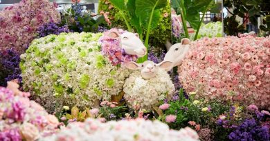 ห้างเซ็นทรัลฉลอง 79 ปีอย่างยิ่งใหญ่! “CENTRAL ANNIVERSARY 2026 – WHERE WONDERS BLOOM” เนรมิต 6 โลกแห่งดอกไม้และจินตนาการ ชม Art & Flower Installation จาก YUTA OKUDA